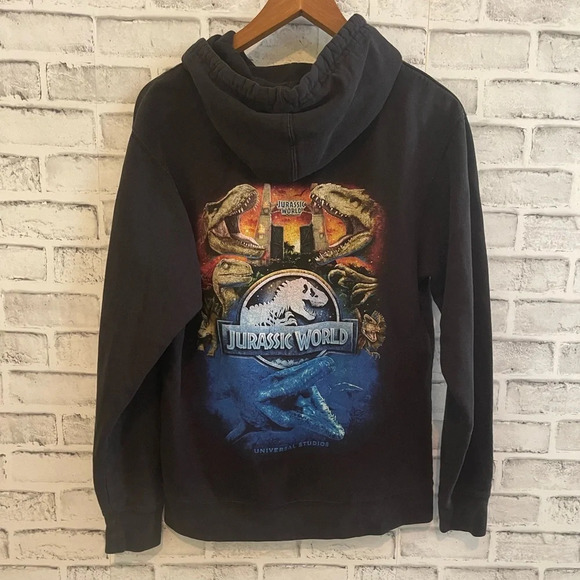 Universal Other - Adult unisex Universal Studios Jurassic World dinosaur hoodie sweatshirt Size S